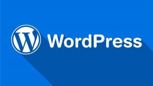 WordPress Definitivo