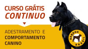 Adestramento de Cães e Comportamento Canino